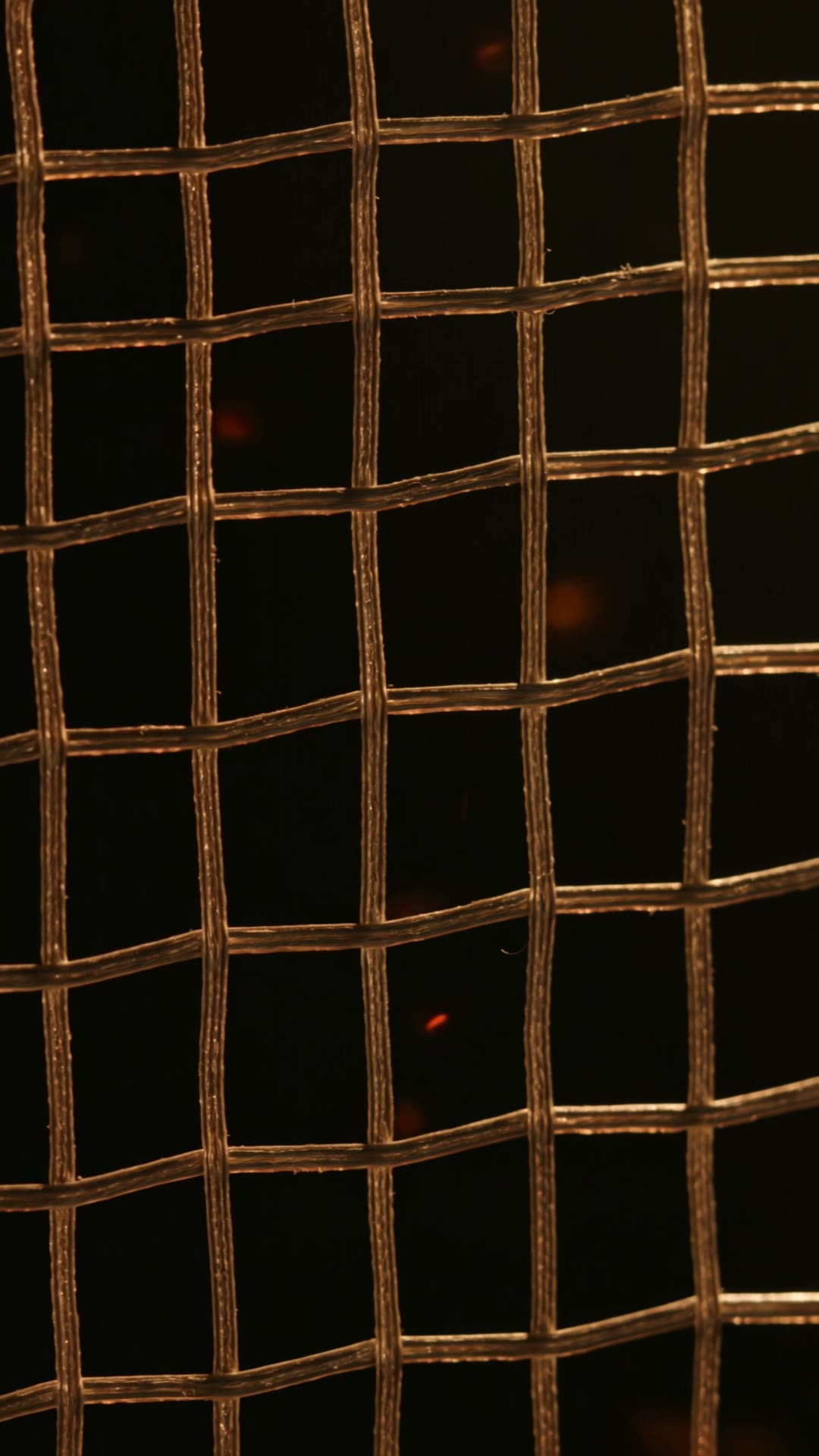 Tennis racket strings in warm golden light